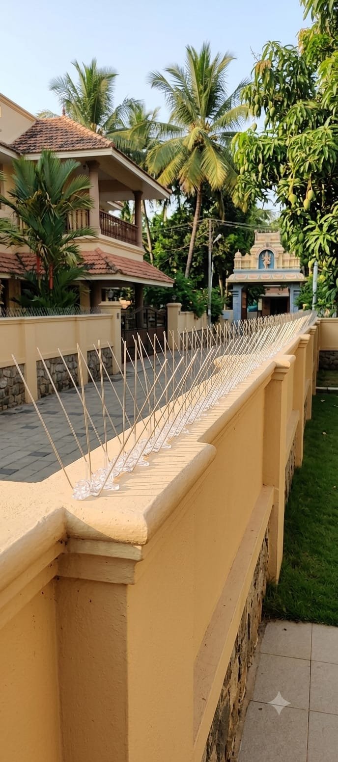 Anti Pigeon Spikes